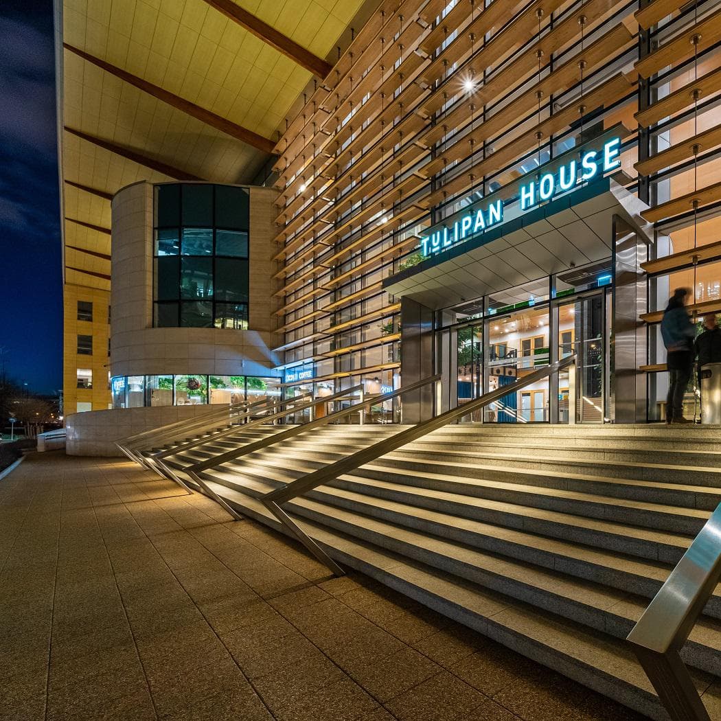 Tulipan House