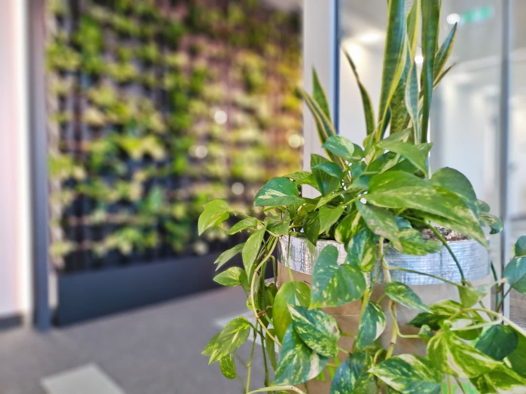 Synergia - Budynek B