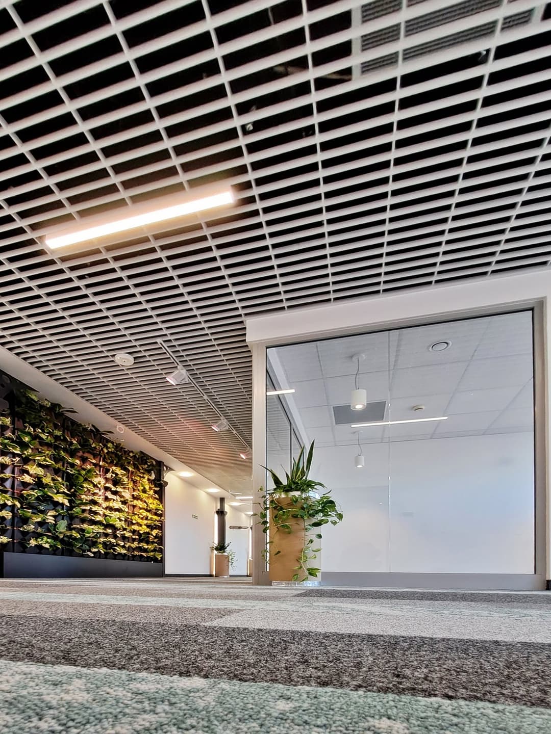 Synergia - Budynek B