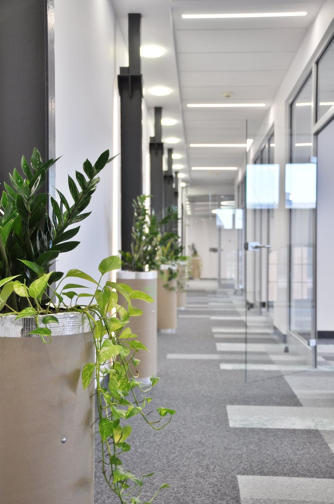 Synergia - Budynek A