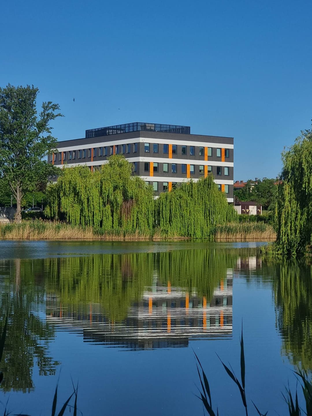 Racławicka Center B1