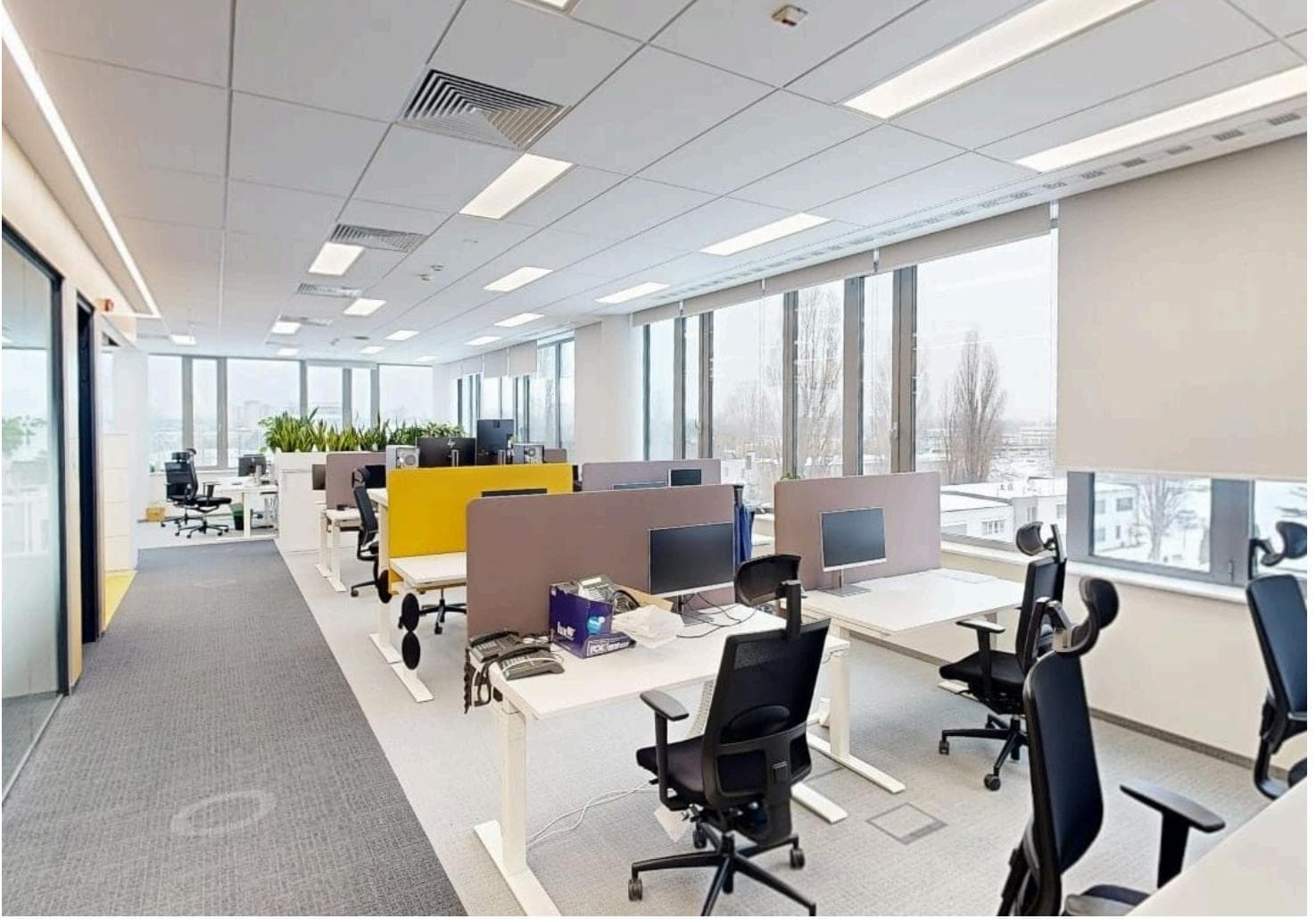 Biuro 522 m²