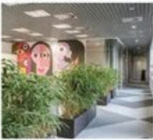 Biuro 197 m²
