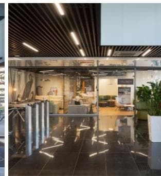 Biuro 240 m²