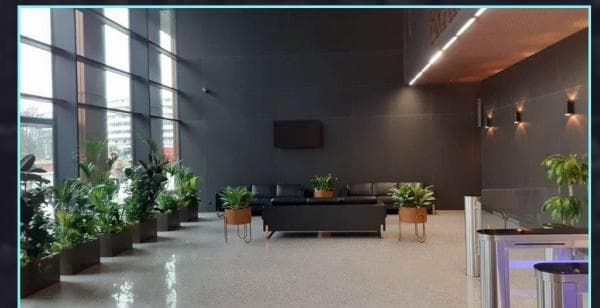 Biuro 909 m²